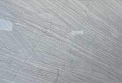White Lavezia