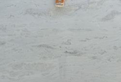 Tesoro Bianco